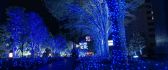 Blue light in the park - prepare for Christmas Holiday