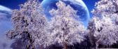 Artistic winter wallpaper - white trees and big moon