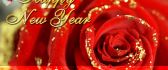 Red roses special for the New Year 2016