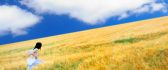 Run through the golden wheat field - HD wallpaper