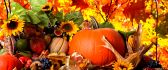Fruits and vegetables from Autumn season - HD wallpaper