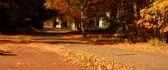 Pile of Autumn leaves in the park - HD wallpaper