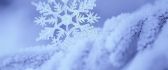 Perfect macro snowflake in the snow - HD winter wallpaper