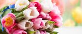 Spring moments with wonderful flowers - HD wallpaper