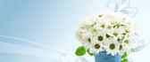Small white chrysanthemums on a wonderful blue bouquet