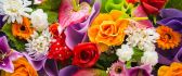 Colorful bouquet of spring flowers - Happy Woman Day