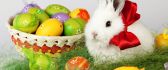 Fluffy white rabbit and a basket full with Easter eggs