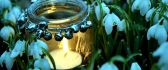 Candle in a jam in the middle of snowdrops