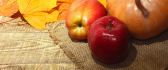 Pumpkin and apples - Autumn fruits food and vitamin