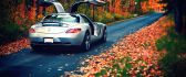 Wonderful Mercedes car luxury - Autumn leaves on the road