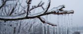 All nature is frozen - Ice on the branches - Winter season