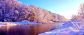 Wonderful landscape - White trees full with snow near river