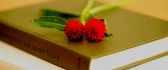 Two red flowers on books - Time for studying