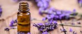 100 Benefits from Lavender Essential Oil - Good to have