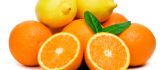 Oranges and Lemons - delicious and fresh lemonade for summer