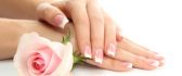 French nails and a beautiful pink rose - HD wallpaper
