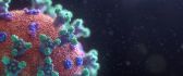 3D Sars Covid 19 Virus - HD wallpaper Biology Chemistry