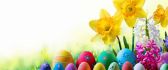 Yellow flowers and Colorful Easter eggs painted HD wallpaper