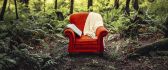 Perfect place for read a book - red sofa in the forest